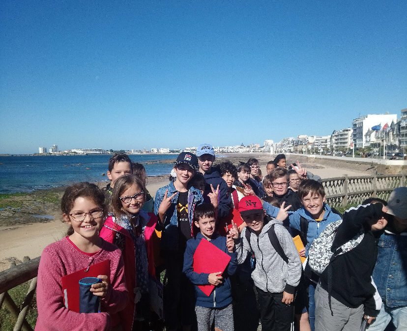 Journée découverte du littoral et de la préhistoire pour les classes de sixièmes.