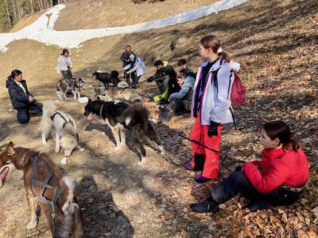 Séjour au ski à Bellevaux