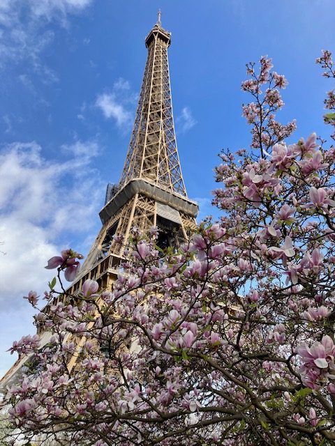 Voyage à Paris (suite Normandie)